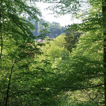 Pension/Bed And Breakfast Pangea Bad Lauterberg im Harz Exterior foto