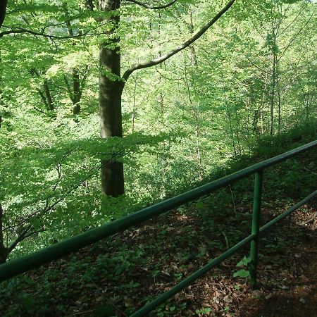 Pension/Bed And Breakfast Pangea Bad Lauterberg im Harz Exterior foto