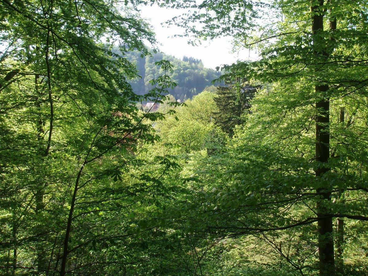 Pension/Bed And Breakfast Pangea Bad Lauterberg im Harz Exterior foto