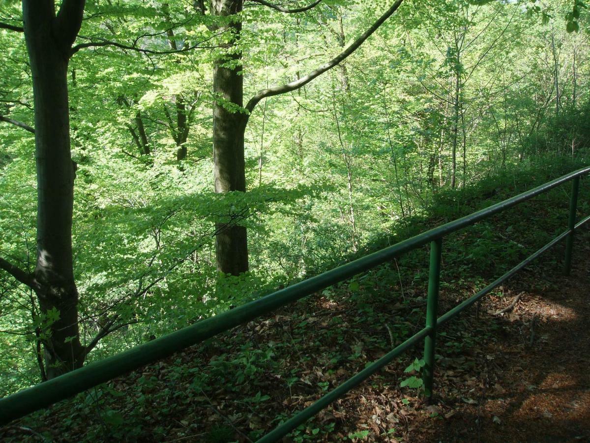 Pension/Bed And Breakfast Pangea Bad Lauterberg im Harz Exterior foto