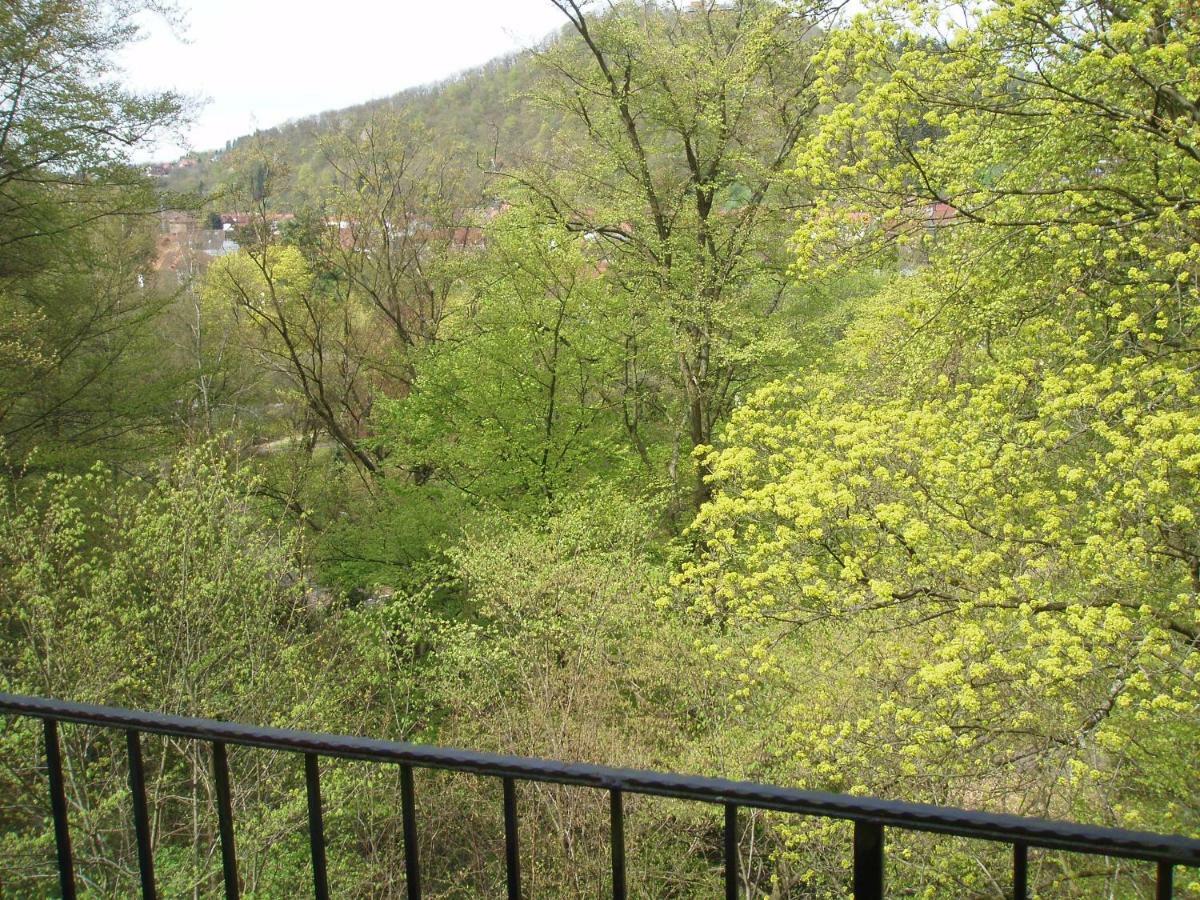 Pension/Bed And Breakfast Pangea Bad Lauterberg im Harz Exterior foto